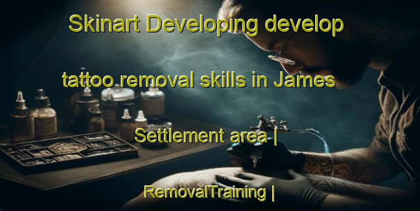 Skinart Developing develop tattoo removal skills in James Settlement area | RemovalTraining | RemovalClasses | SkinartTraining-Canada